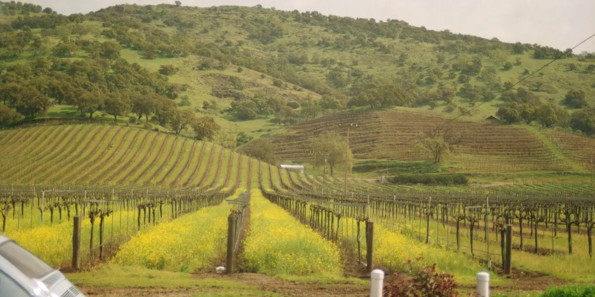 Temecula Valley