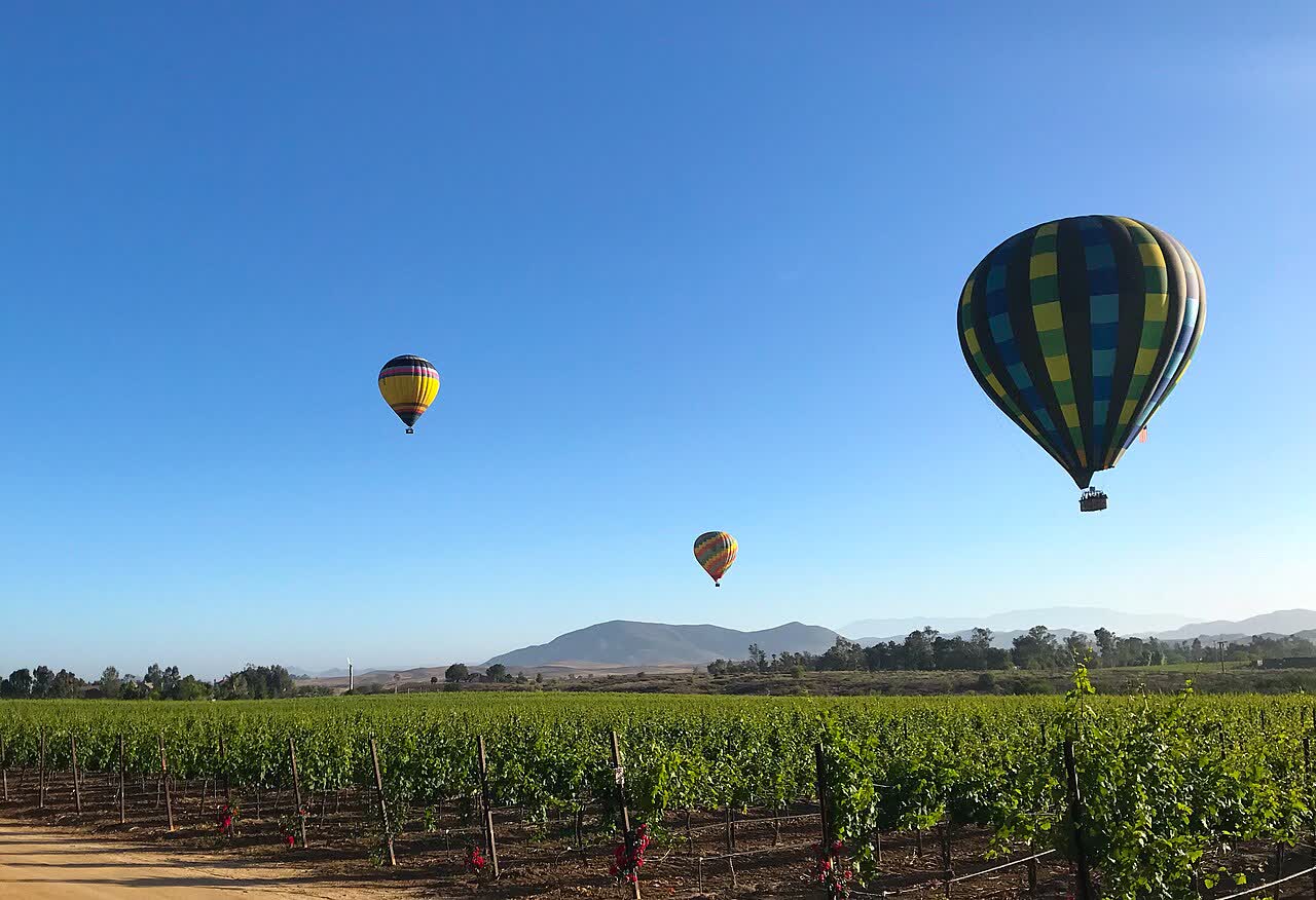 Balloons over the vineyards